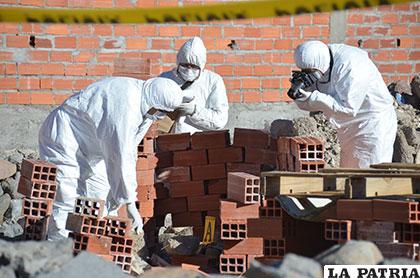Expertos forenses arribarán a Oruro para toma de muestras /Archivo
