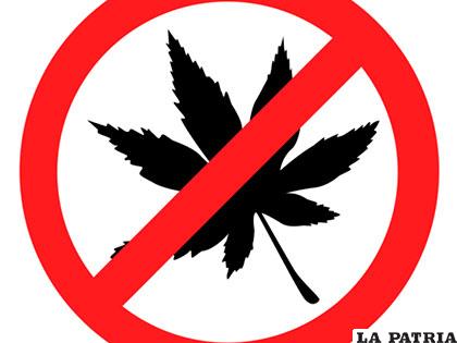 Algunas autoridades aún rechazan el uso medicinal de la marihuana