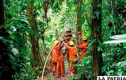 Tareas de exploración sísmica en la Amazonía /boliviaentusmanos.com