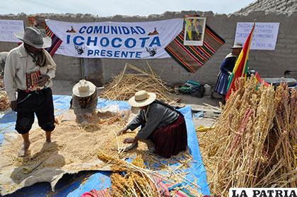 La falta de agua afectó a los productores de quinua