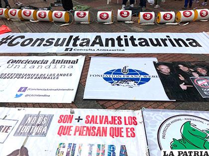 Colombianos luchan por la protección de los derechos de los animales