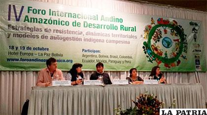 Los panelistas del Foro Internacional Andino Amazónico de Desarrollo Rural /ANF