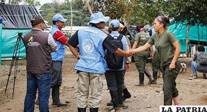 Ex guerrilleros de las FARC se integran a la sociedad