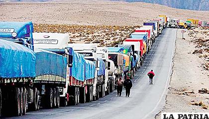 Camiones que están detenidos en el Puerto de Arica /Tierra Plus

