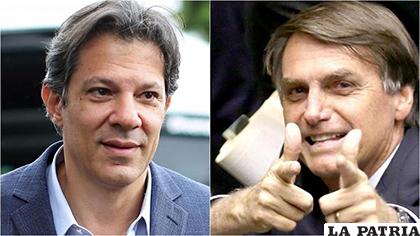 Los candidatos  Haddad y Bolsonaro  /RCN Radi