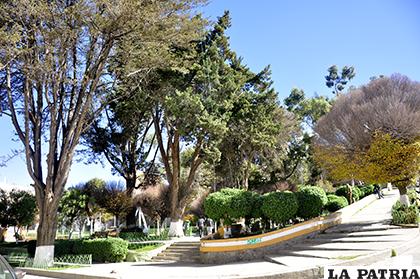 Se pretende actualizar datos sobre la cantidad de árboles en Oruro