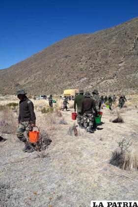 Soldados ayudan en el riego de árboles en Chusaqueri /GAD-ORU