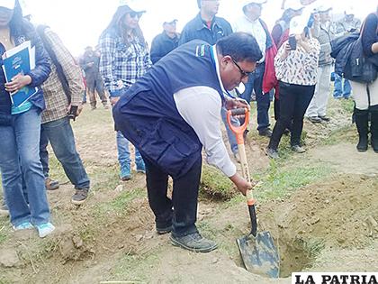 En Condoriri autoridades plantaron arbolitos como parte de la campaña forestal /LA PATRIA