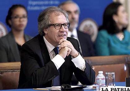 El secretario general de la OEA, Luis Almagro /LISTÍN DIARIO