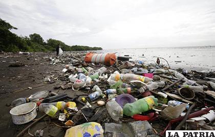 Los desechos de plástico se han convertido en un gran problema ambiental / laestrella.com.pa