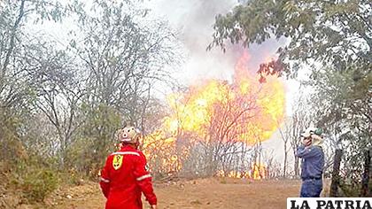 El incendio que ocurrió en Villa Montes 
 /Archivo Erbol
