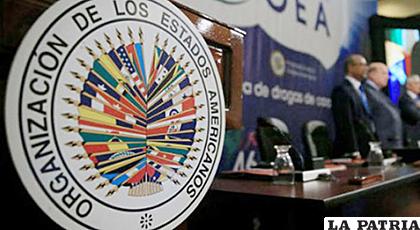 La OEA ha tomado nota de las acusaciones y se ha comprometido a darle seguimiento /THEWORLDNEWS