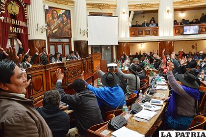 Pleno de la Asamblea Legislativa Plurinacional (ALP)/ Cámara de Diputados