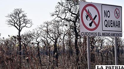 COED asegura que ya no hay incendios en Santa Cruz de la Sierra /Los Tiempos