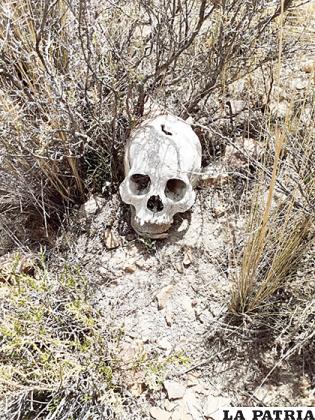 Los restos fueron encontrados en la zona Sur de la ciudad /LA PATRIA

