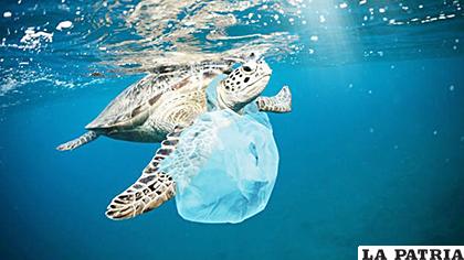 El plástico estaba destinado a ayudar a la gente y resultó ser nocivo para el planeta
