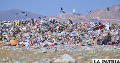 La basura generada en las capitales bordea las 800 toneladas