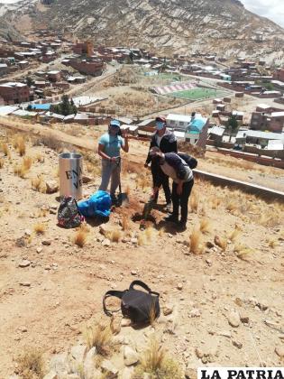 Varios jóvenes deportistas se dieron la tarea de plantar árboles en el sector