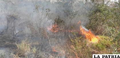Uno de los incendios que afecta a territorio nacional /ANF