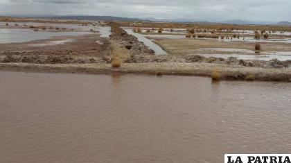 Con el paso de los años el cauce del río se fue perdiendo a causa de la sedimentación /archivo LA PATRIA