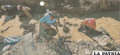 Dirigentes mineros denuncian uso de maquinaria y químicos para extracción de oro en ríos bolivianos.