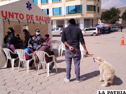 La población acudió masivamente para esterilizar a sus mascotas / LA PATRIA