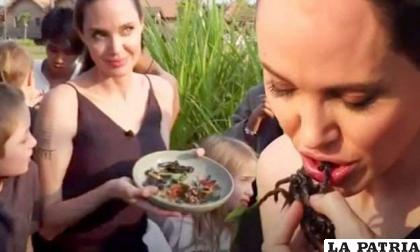 Angelina Jolie y su nueva dieta