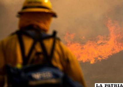 Pese al trabajo de los bomberos, solo se ha contenido el 5% del incendio