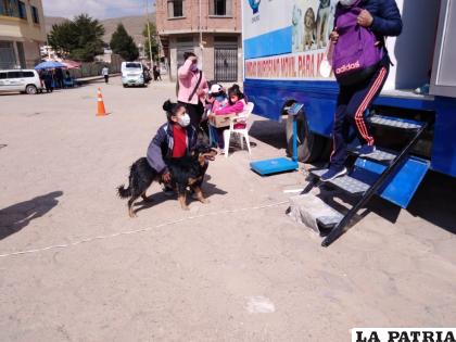 Los precios para la esterilización, son módicos