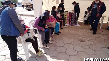 El objetivo es esterilizar a unos mil animales entre perros y gatos