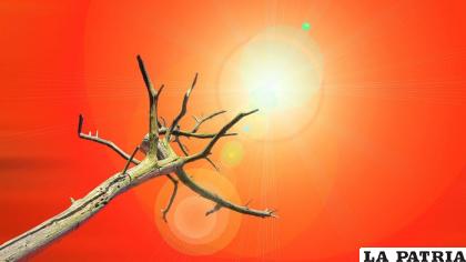 El cambio climático afectaría muchas cosas en el planeta