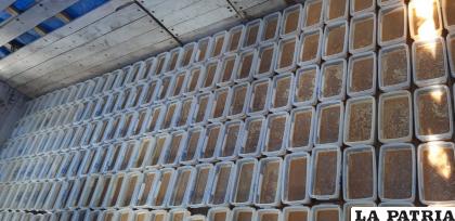 La cocaína estaba en proceso de moldeado y secado /Felcn
