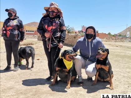 Festejo a los miembros del Club Rottweiler 
/CLUB ROTTTWEILER