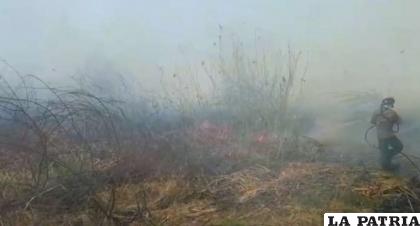Son 116 nuevos focos de quema que se registraron en Santa Cruz /El Deber