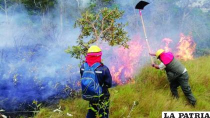 Trabajadores del parque combaten el fuego en el Madidi /Página Siete