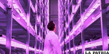 Los gastos de producción y distribución serán mínimos /EL TIERRERO