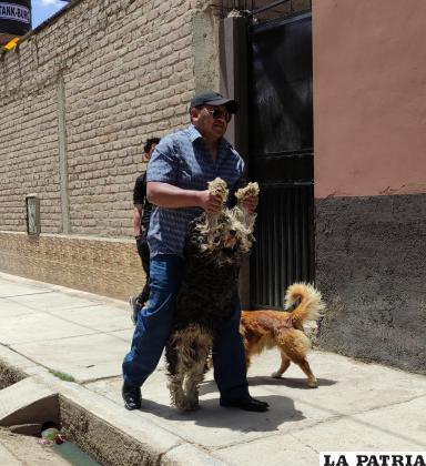 Algunos animalitos adivinaron que iban a ser vacunados y fueron “arrastrados” para que prevengan la rabia /LA PATRIA