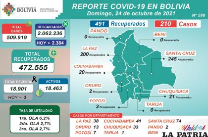 En Bolivia, los recuperados se aproximan al medio millón /MINISTERIO DE SALUD