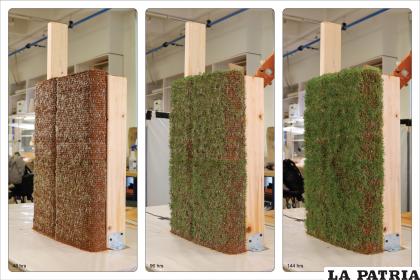Los muros serían de materiales biológicos en lugar de plásticos u hormigón / archdaily.cl