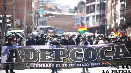 Los productores de coca en la marcha /RR.SS.