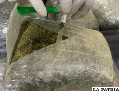 Llevaba 10 kilos con 600 gramos de marihuana 
/Jaime Mamani