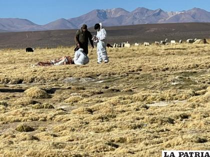 La víctima fue identificada como Fabian Barahona Copa / Rodrigo Martínez 