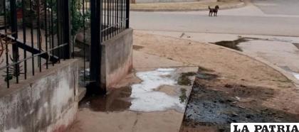 Charco de sangre en la acera donde fue asesinada la víctima /El Doce