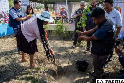 Buscan superar las 1.000 hectáreas forestadas o reforestadas para garantizar agua a futuras generaciones /RR.SS.