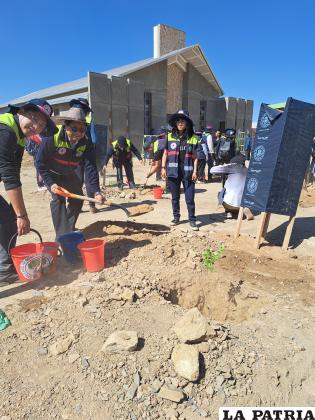 La UTO inició el plantado de arbolitos en La Aurora 
/UTO
