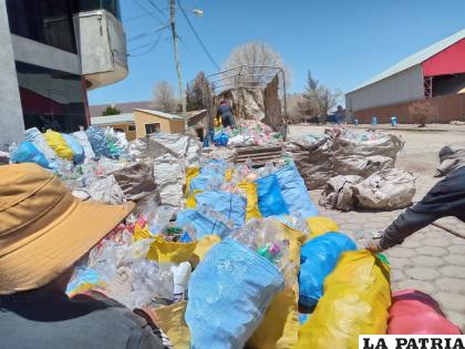 La primera entrega fue de media tonelada de botellas PET /Cortesía