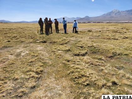 La mujer fue encontrada muerta; investigan las causas /Cortesía