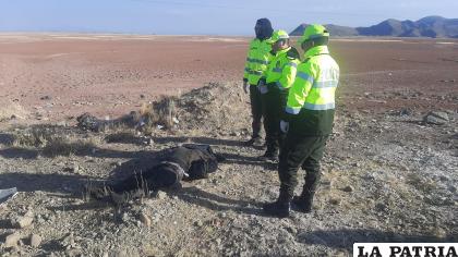 Una persona falleció y otra fue socorrida a un centro de salud /LA PATRIA