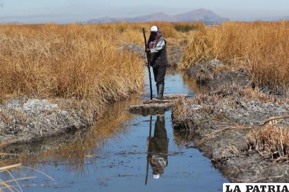 El lago Titicaca está seis centímetros por debajo de su mínimo histórico registrado en 1996 /EFE