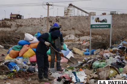 Clasificación de basura orgánica para crear abono /LA PATRIA 